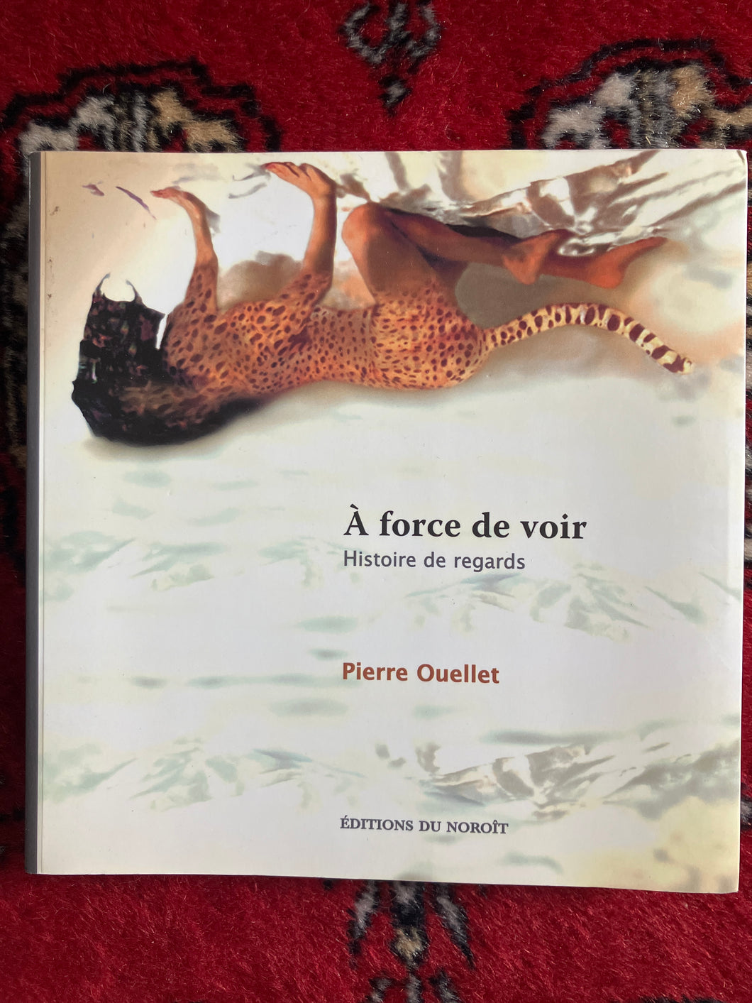 A force de voir : Pierre Ouellet