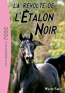 La révolte de l'Etalon Noir : Walter Farley