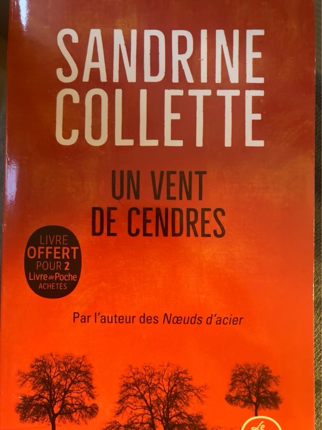 Un Vent De Cendres : Sandrine Colette