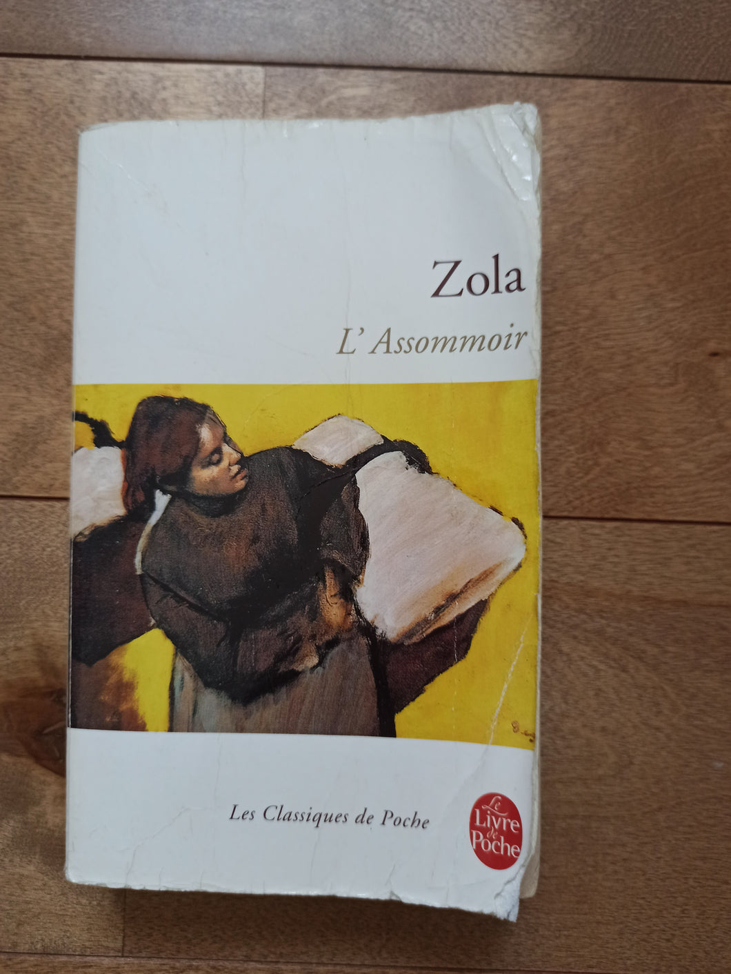 L'assommoir : Émile Zola