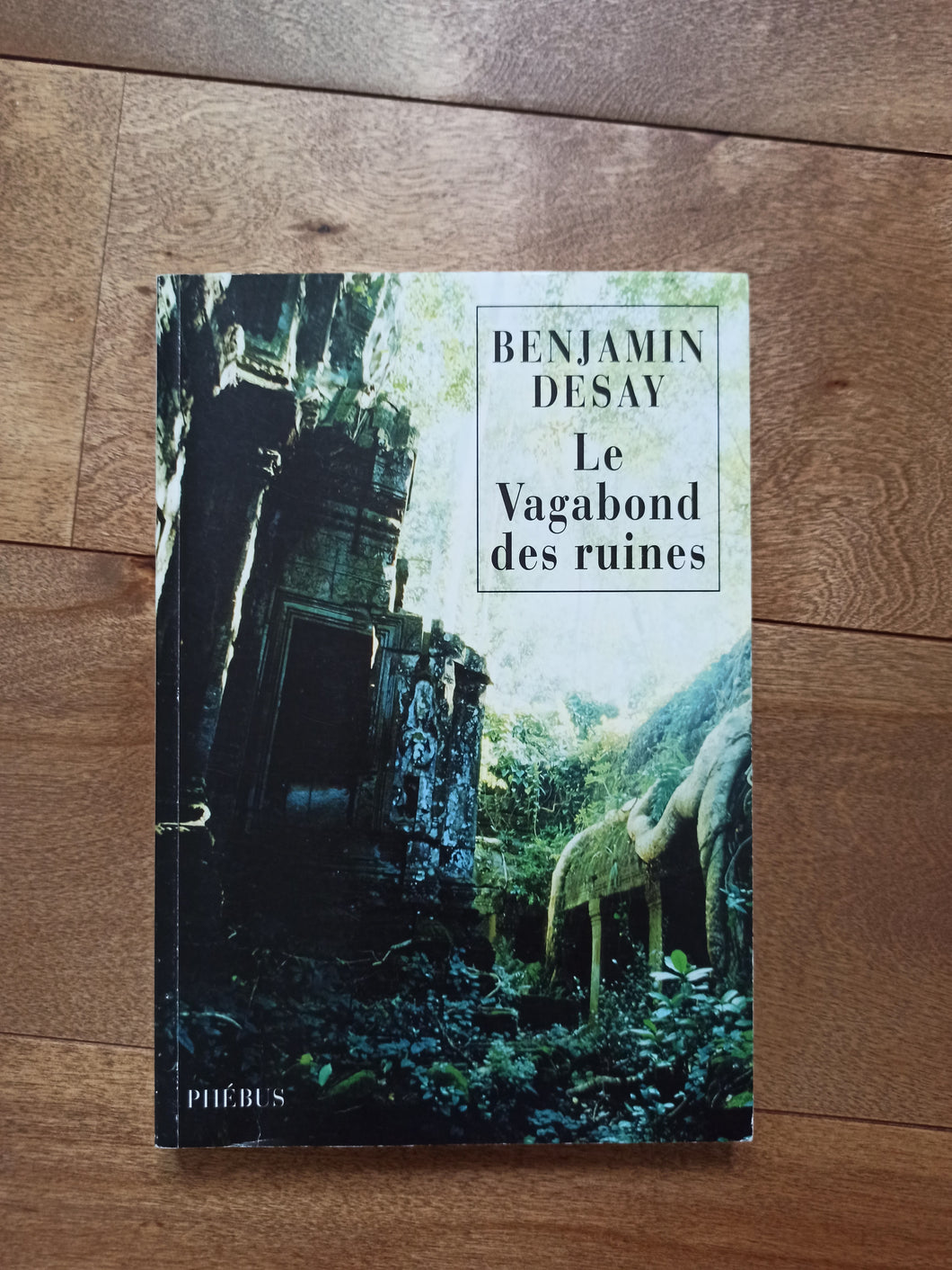 Le vagabond des ruines : Benjamin Desay