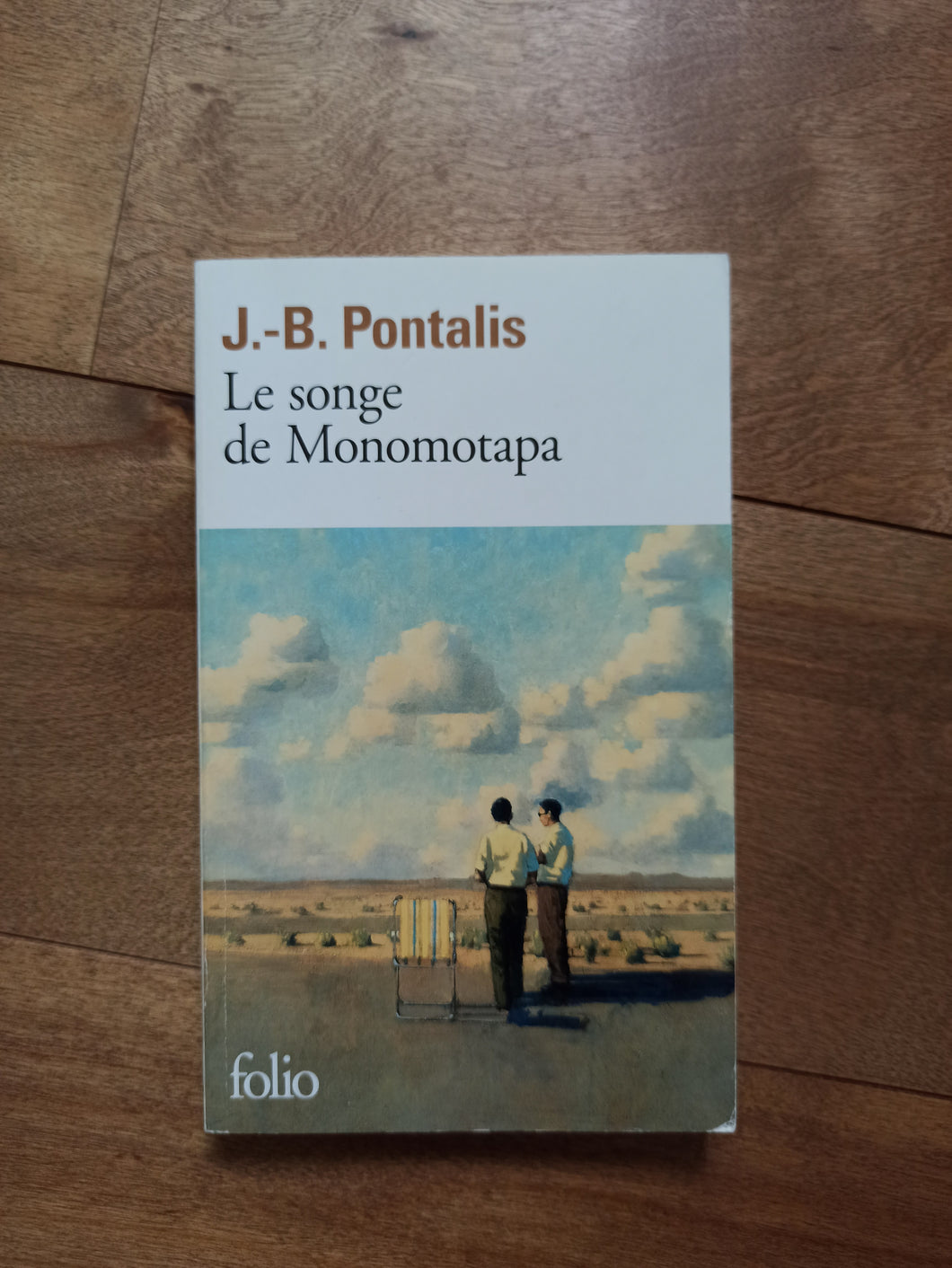 Songe de Monomotapa : Jean-Bertrand Pontalis
