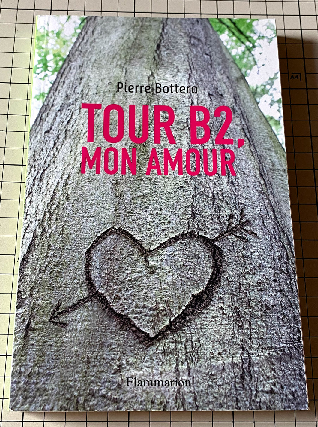 Tour B2, mon amour : Pierre Bottero