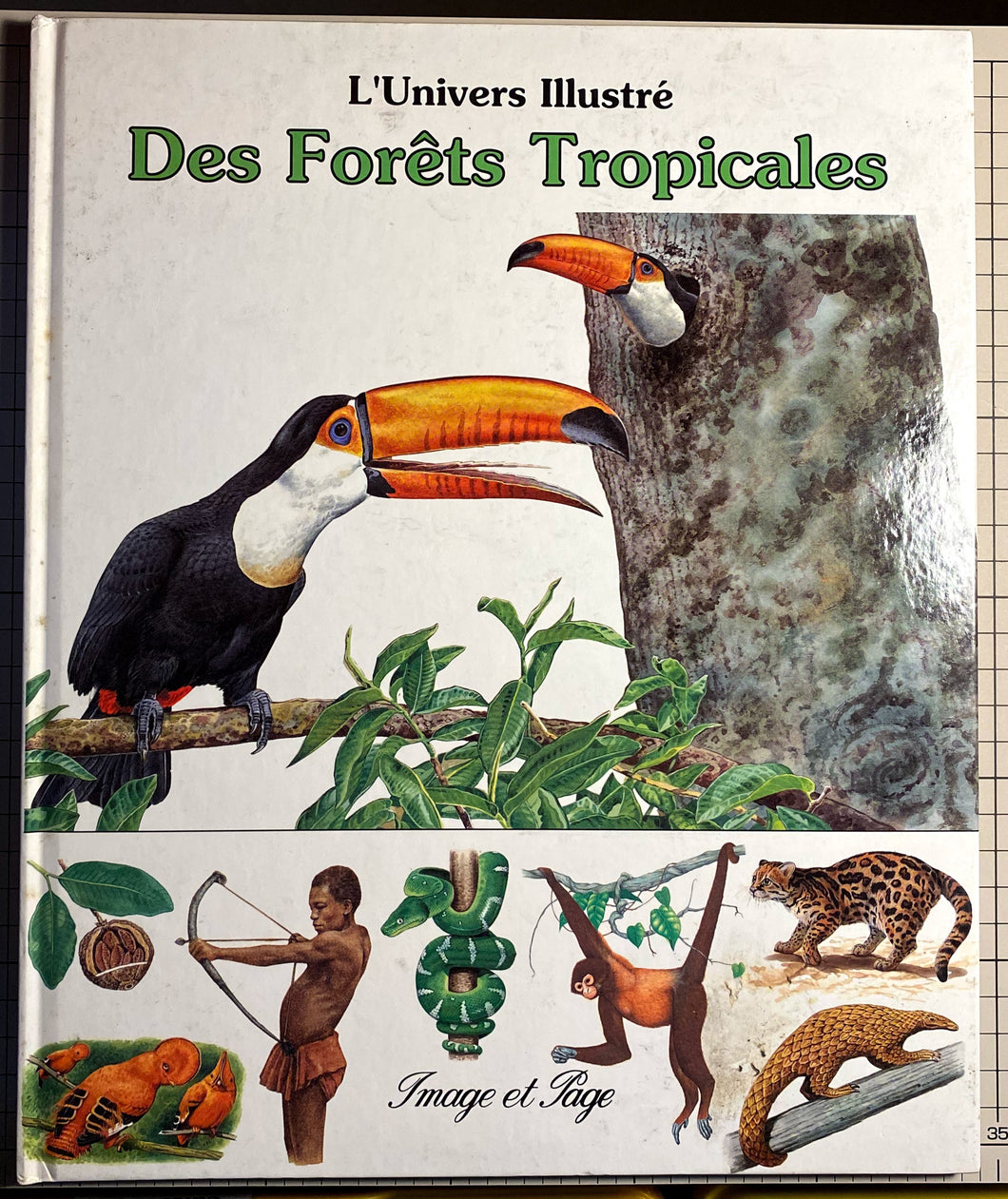 Des forêts tropicales : Anita Ganeri