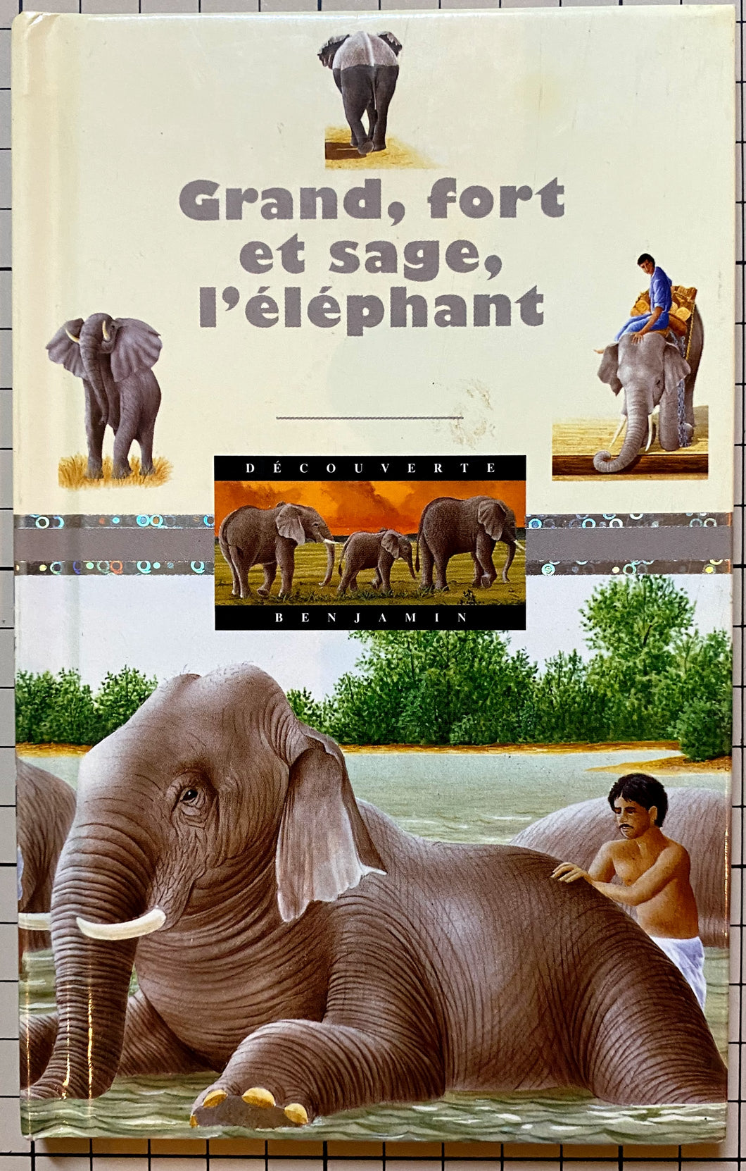 Grand, fort et sage, l'éléphant : Pierre Pfeffer, René Mettler