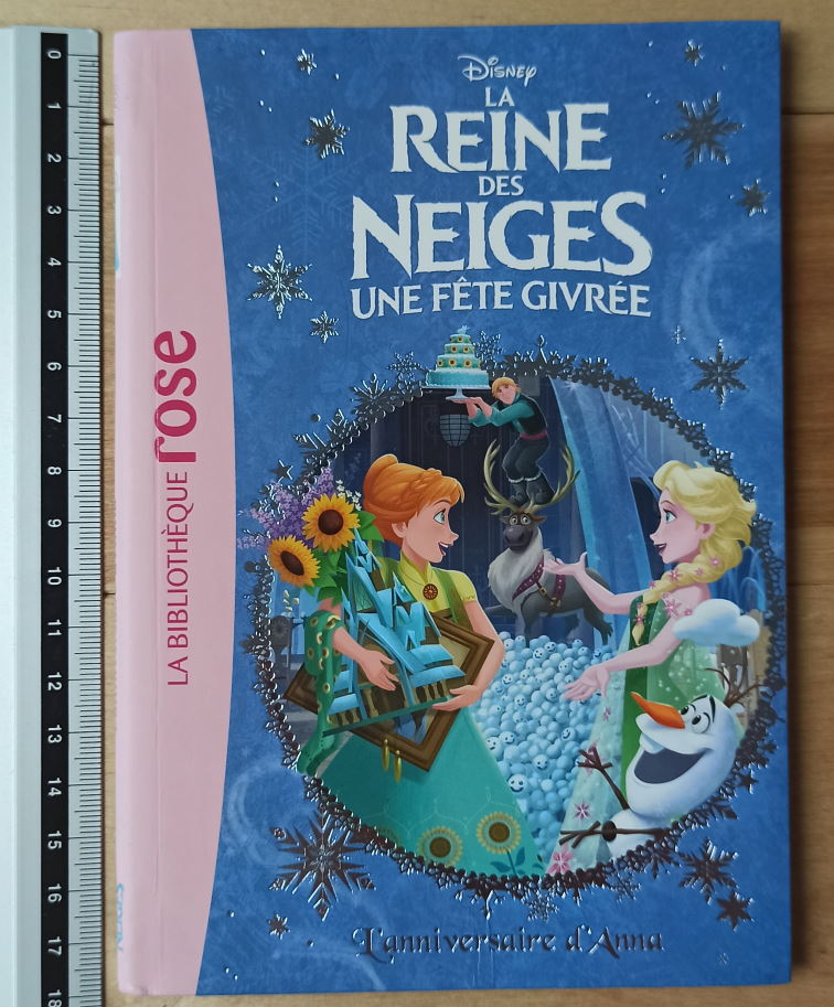 La Reine Des Neiges 16 - L'Anniversaire D'Anna : Walt Disney Company
